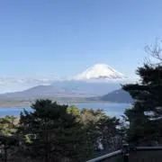 こうめいの画像