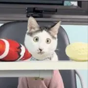 りりの画像