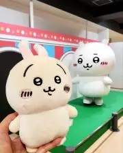 nicotomo83の画像