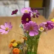 ほりっちの画像