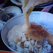 玉椿の画像