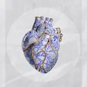 cardiacの画像