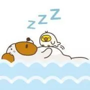 ぽぽっくの画像