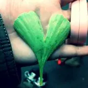 しー‎♡絶対にプロフ読んでの画像