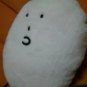 ナナの画像