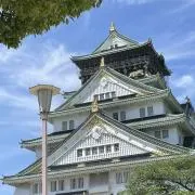 ゆたの画像
