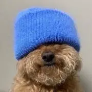 ★の画像