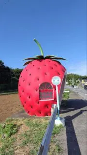 kayonnの画像