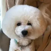 ばちゃん