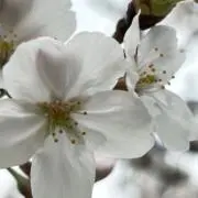 動く