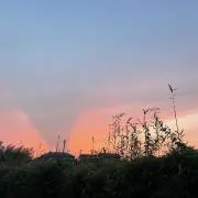( ⋅֊⋅ )‎の画像