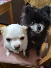 じゅりぃの画像