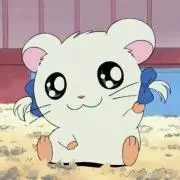 あの画像