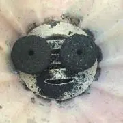 カゴちゃん
