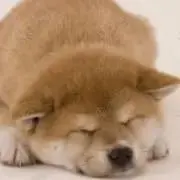 もん