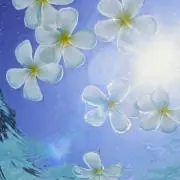 みん