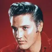 elvisの画像