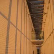 ts