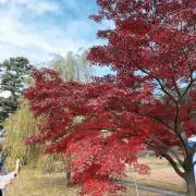 ナガイミホ