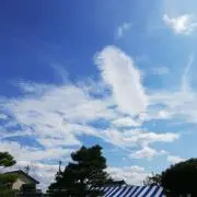 リーディングシュタイナー