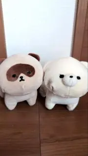 カイママの画像