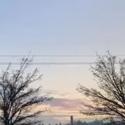 あおの画像