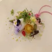 ちょこの画像