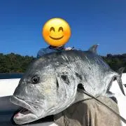 吐噶喇ファイターの画像