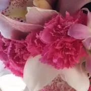 flocorirの画像