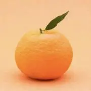 みかんの画像