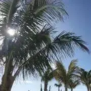 Nagisaの画像