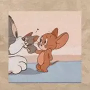 kokkoの画像