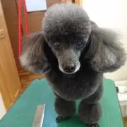 ひろこっち