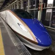 トミーの画像