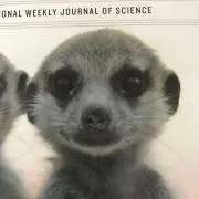 らん丸の画像
