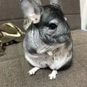 yuの画像