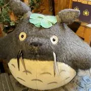 スターの画像