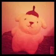 pomuの画像