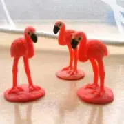 flamingo  プロフ読んで下さいの画像