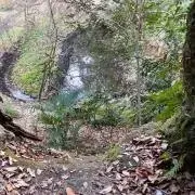 adgの画像