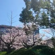 24時間以内発送の画像