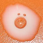 かたかたの画像