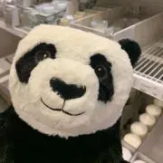WENの画像