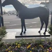 オルステッドの画像