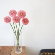みっこ♥♥の画像