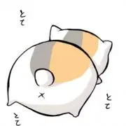 ニャンコ☆断捨離中