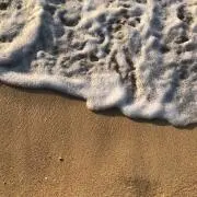 Mの画像