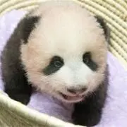 きたこの画像