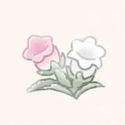 ななの画像