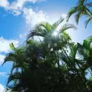 ♡の画像